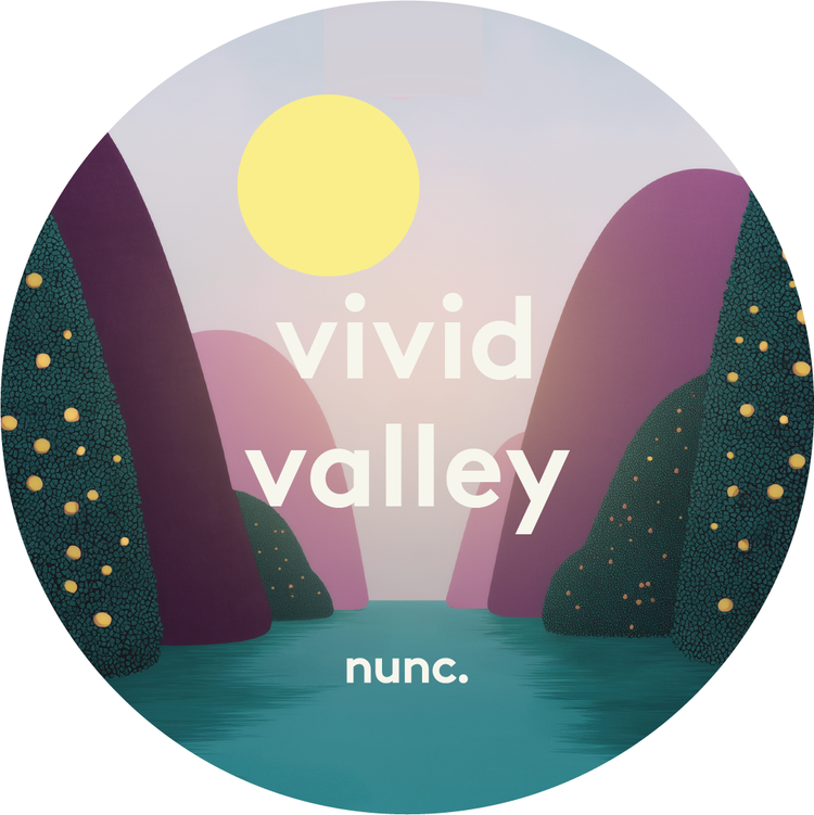 vivid valley